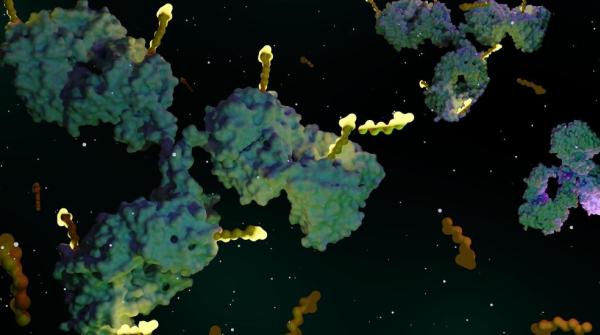Early tests approach for Vincerx’s conjugate revolution